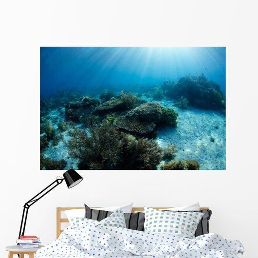 Hard Coral Garden with Wall Decal Design 2