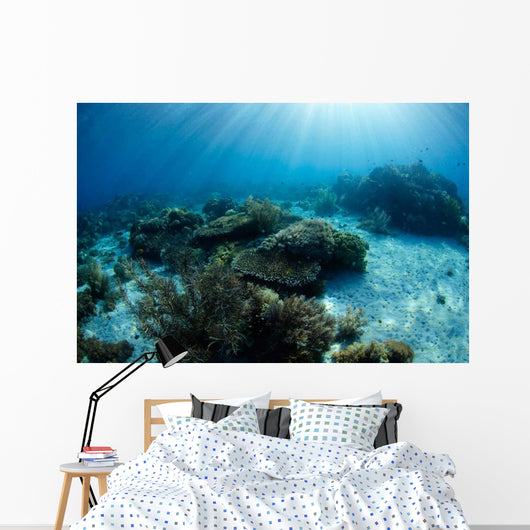 Hard Coral Garden with Wall Decal Design 2