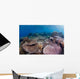 Hard Coral Garden with Wall Decal Design 1