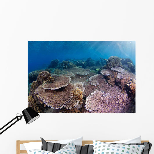 Hard Coral Garden with Wall Decal Design 1