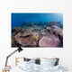 Hard Coral Garden with Wall Decal Design 1