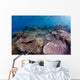Hard Coral Garden with Wall Decal Design 1