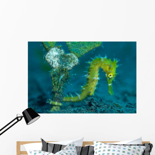 Thorny Seahorse Hippocampus Hystrix Wall Decal Design 2