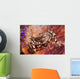 Zebra Crab Fire Urchin Wall Decal