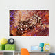Zebra Crab Fire Urchin Wall Decal