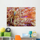 Brook's Urchin Shrimp Fire Wall Decal