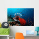 Coral Grouper and Lionfish Wall Decal
