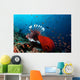 Coral Grouper and Lionfish Wall Decal