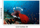Coral Grouper and Lionfish Wall Decal