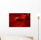 Ladybug Amphipods Undescribed Species Wall Decal Design 2