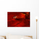 Ladybug Amphipods Undescribed Species Wall Decal Design 2