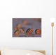 Ladybug Amphipods Undescribed Species Wall Decal Design 1