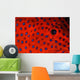 Coral Grouper Eye Detail Wall Decal