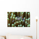 Sarasvati Anemone Shrimp with Wall Decal