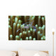 Sarasvati Anemone Shrimp with Wall Decal