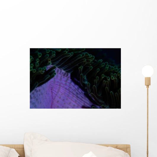 Magnificent Sea Anemone Detail Wall Decal