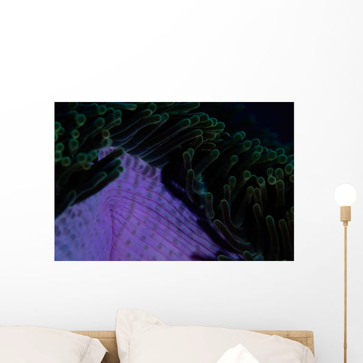 Magnificent Sea Anemone Detail Wall Decal