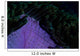 Magnificent Sea Anemone Detail Wall Decal