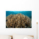 Hard Coral Garden Komodo Wall Decal Design 2