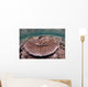 Hard Coral Garden Komodo Wall Decal Design 1