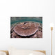 Hard Coral Garden Komodo Wall Decal Design 1