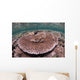 Hard Coral Garden Komodo Wall Decal Design 1