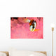 Clark's Anemonefish Pink Bubble Wall Decal