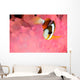 Clark's Anemonefish Pink Bubble Wall Decal