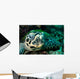Hawksbill Sea Turtle Komodo Wall Decal