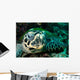 Hawksbill Sea Turtle Komodo Wall Decal