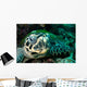 Hawksbill Sea Turtle Komodo Wall Decal