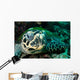 Hawksbill Sea Turtle Komodo Wall Decal