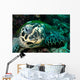 Hawksbill Sea Turtle Komodo Wall Decal
