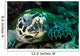 Hawksbill Sea Turtle Komodo Wall Decal