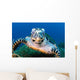 Hawksbill Sea Turtle Portrait Wall Decal Design 3