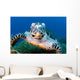 Hawksbill Sea Turtle Portrait Wall Decal Design 3