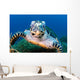 Hawksbill Sea Turtle Portrait Wall Decal Design 3