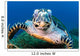 Hawksbill Sea Turtle Portrait Wall Decal Design 3