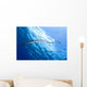 Banded Sea Snake Rises Wall Decal