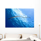 Banded Sea Snake Rises Wall Decal