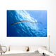 Banded Sea Snake Rises Wall Decal