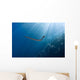 Chinese Sea Snake Banda Wall Decal Design 2