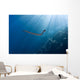 Chinese Sea Snake Banda Wall Decal Design 2
