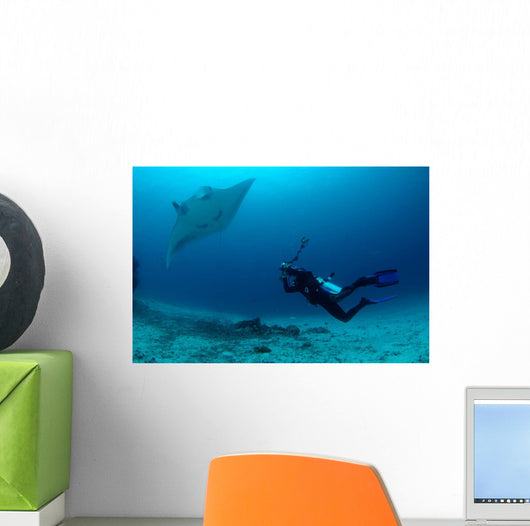 Photographer Taking Picture Manta Wall Decal