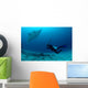 Photographer Taking Picture Manta Wall Decal