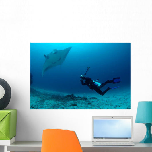 Photographer Taking Picture Manta Wall Decal