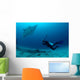 Photographer Taking Picture Manta Wall Decal