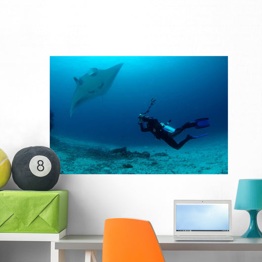 Photographer Taking Picture Manta Wall Decal