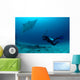 Photographer Taking Picture Manta Wall Decal