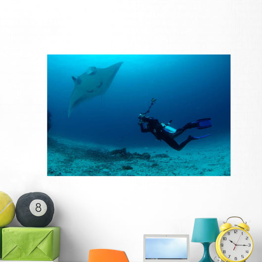 Photographer Taking Picture Manta Wall Decal